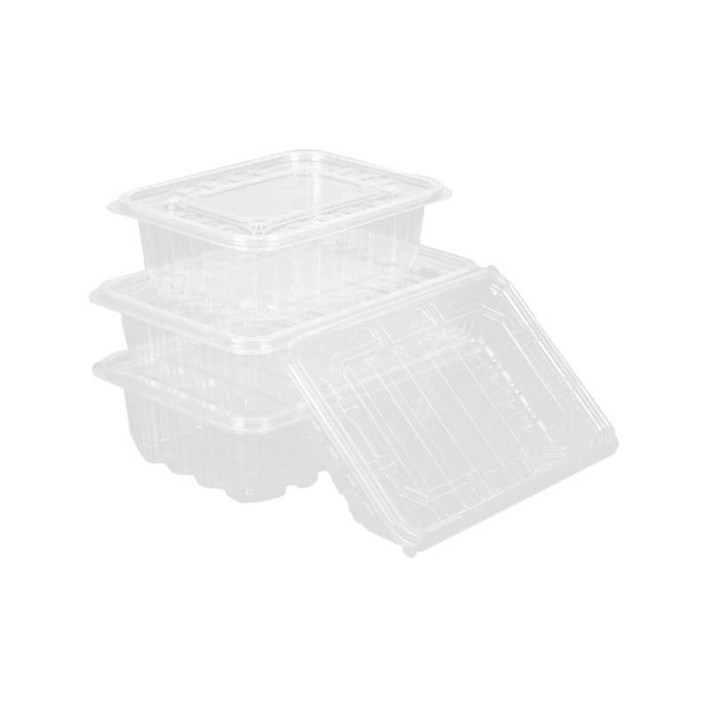 Boîte d'emballage de fruits jetable entièrement transparente
