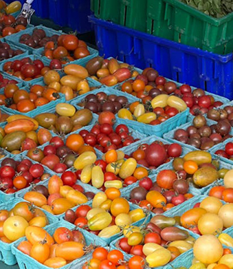 Plateau alimentaire en plastique