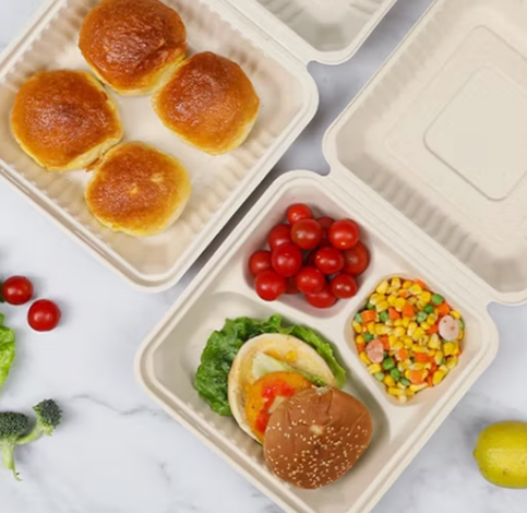 Les contenants alimentaires en plastique dotés de joints hermétiques en silicone offrent-ils une meilleure conservation des aliments que les contenants scellés entièrement en plastique ?